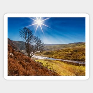 Cronkley Scar and The Tees Sticker